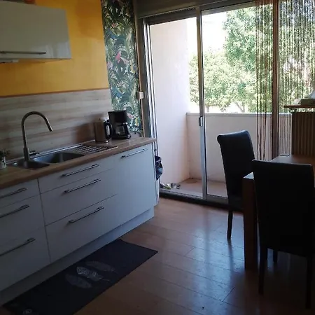 Avec Balcon : Le Serenity Apartment Turckheim